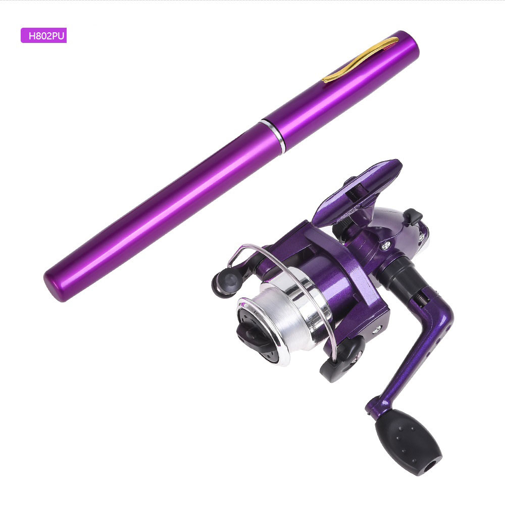 Mini canne à pêche en forme de - Penn Reel Fierce avis et prix
